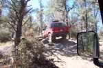 Miller Jeep Trail 002.jpg